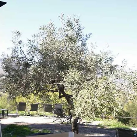 Vivood Landscape & - Designed For Adults Hotell 3*